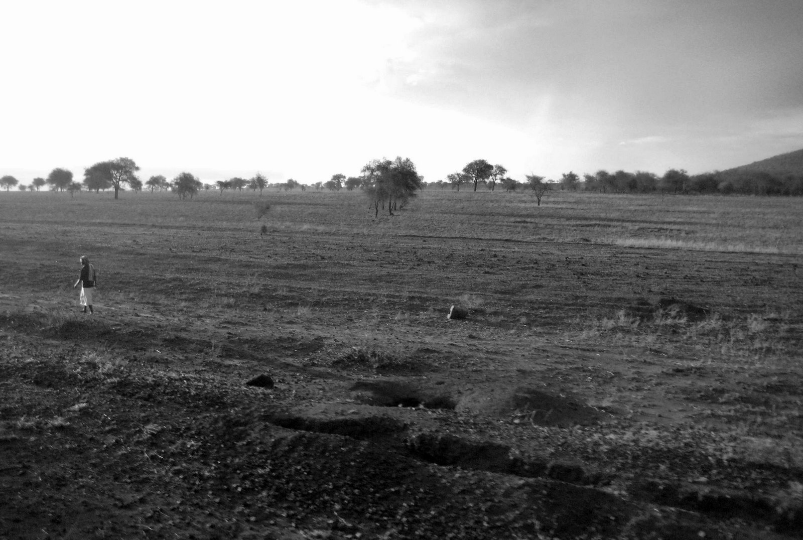 Morning breaks on the savanna.